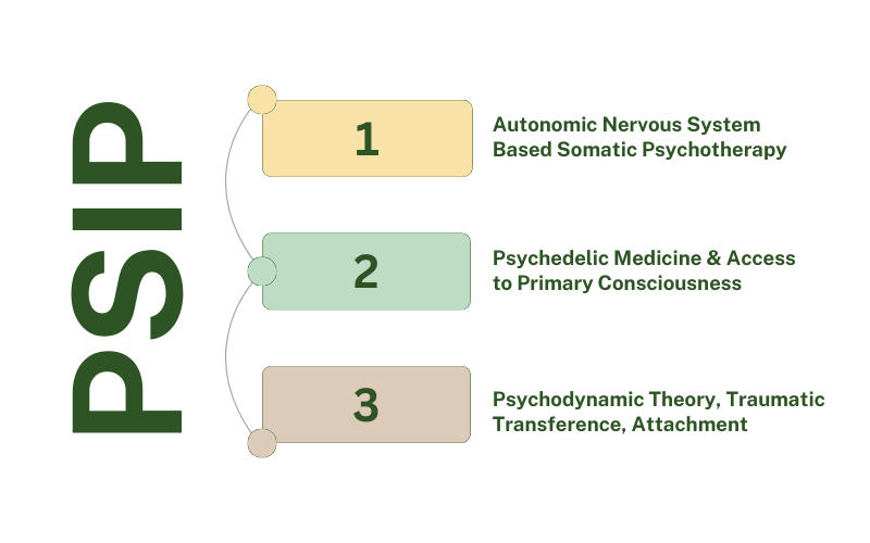 PSIP Process at Elument